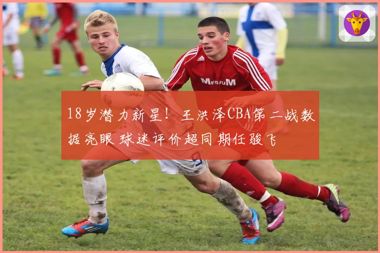 18岁潜力新星！王洪泽CBA第二战数据亮眼 球迷评价超同期任骏飞