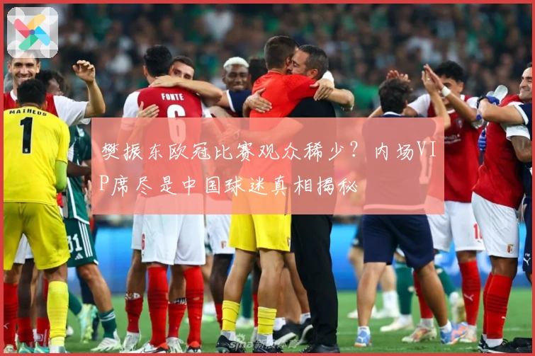 樊振东欧冠比赛观众稀少？内场VIP席尽是中国球迷真相揭秘