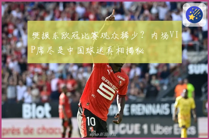 樊振东欧冠比赛观众稀少？内场VIP席尽是中国球迷真相揭秘